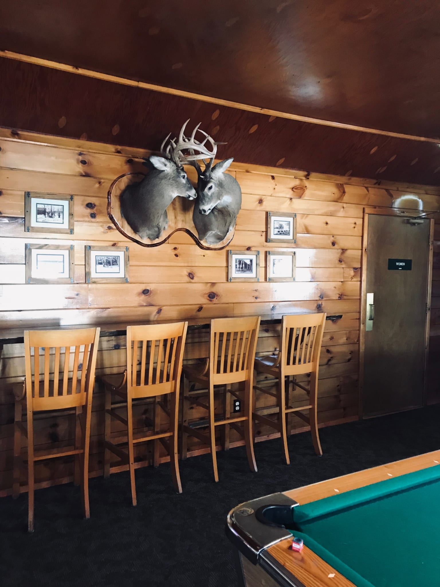 Taproom mounted deer and pool table.