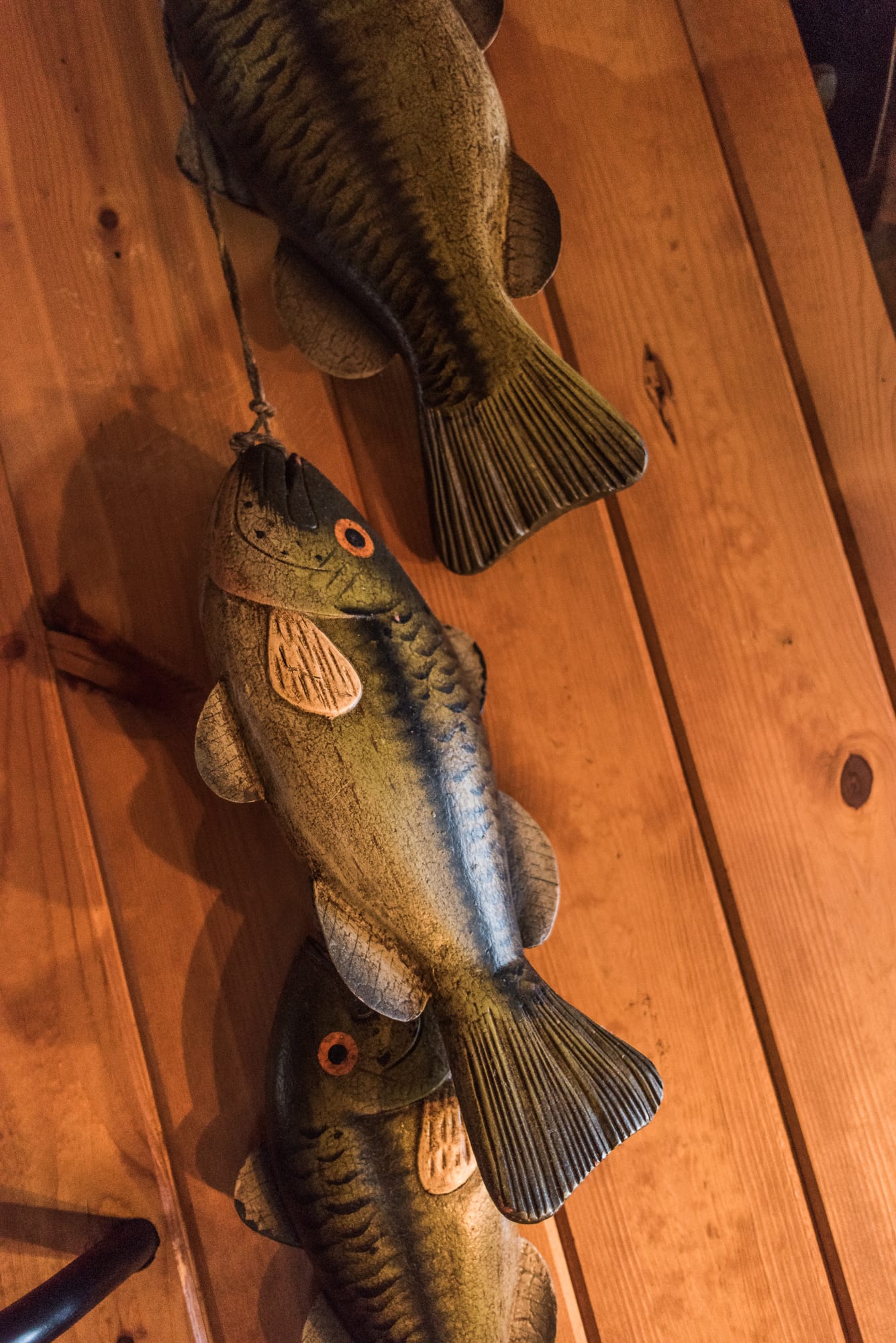 Lakeview cabin mounted fish on wall.