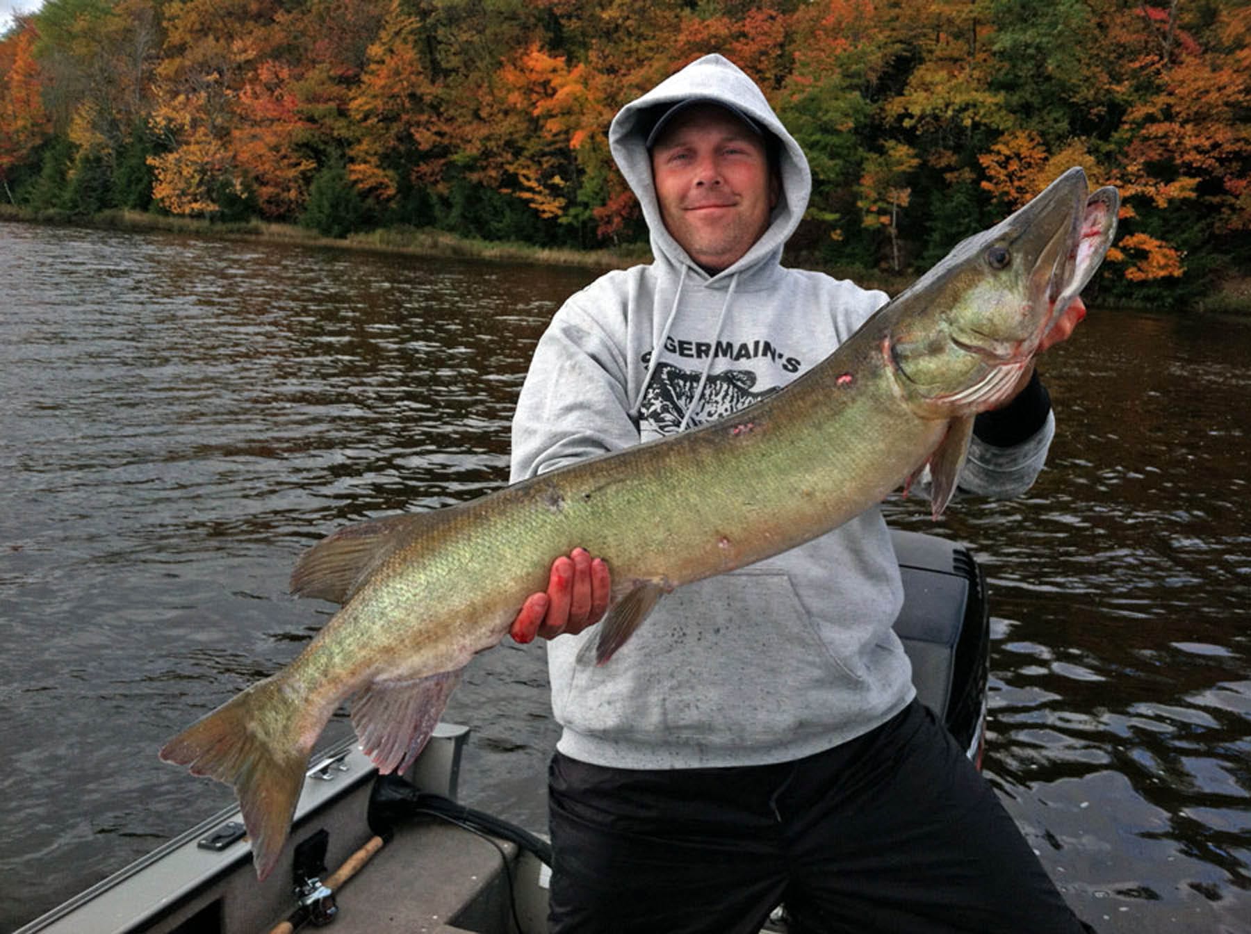 Man holding a Muskie.